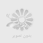 حمید مردانی